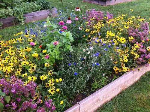 Bee Garden 3