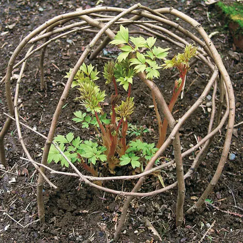 Twig and Branches Craft Ideas  14