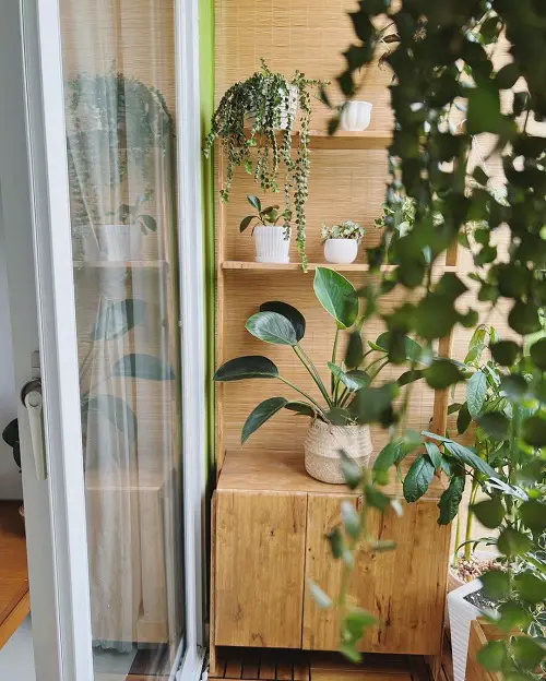 Small Balcony Garden Designs That You Have To Try1