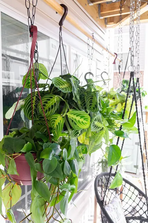 You Must Steal These Tiny Balcony Garden Ideas2