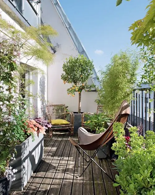 Ideas for Small Balcony Gardens That You Must Imitate