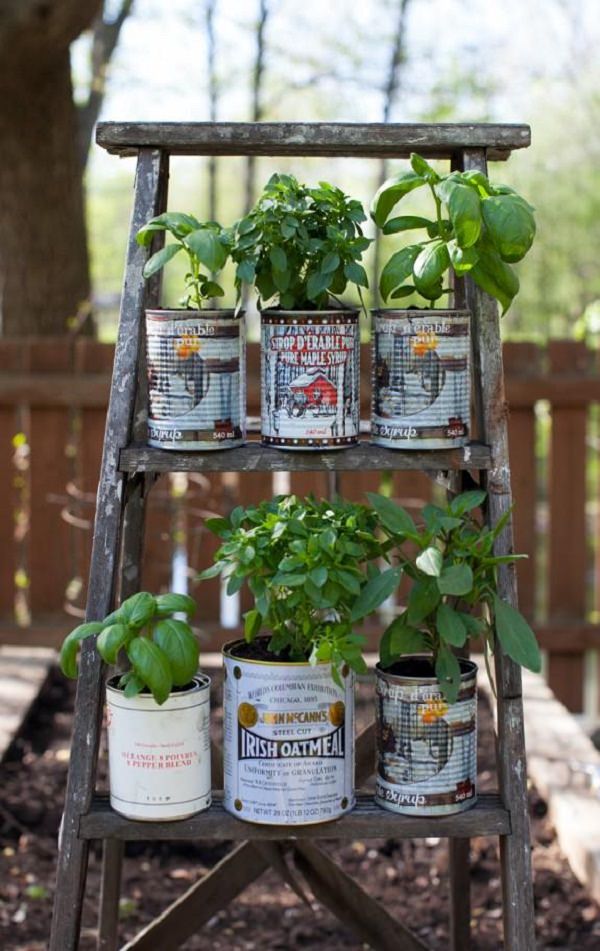 8 Balcony Herb Garden Ideas You Would Like to Try