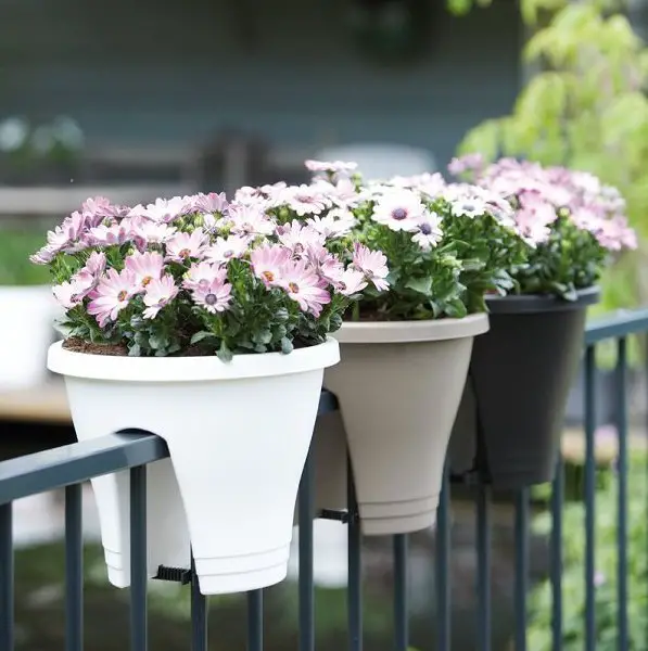 balcony planter ideas