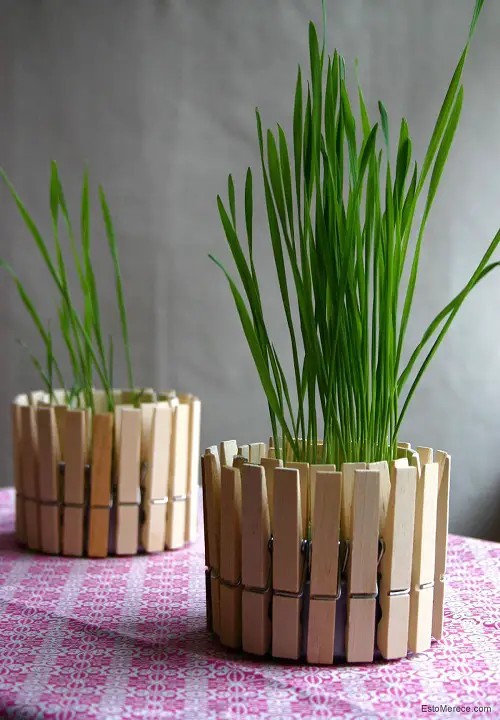 best Garden Pot Decoration Ideas From Simple Things in Home