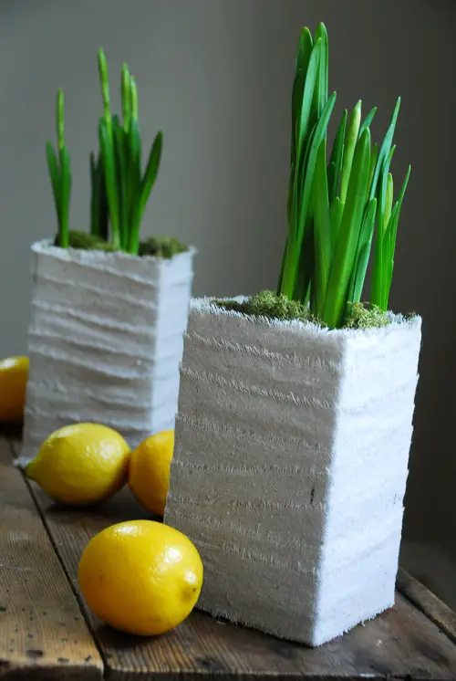 Amazing Garden Pot Decoration Ideas From Simple Things in Home
