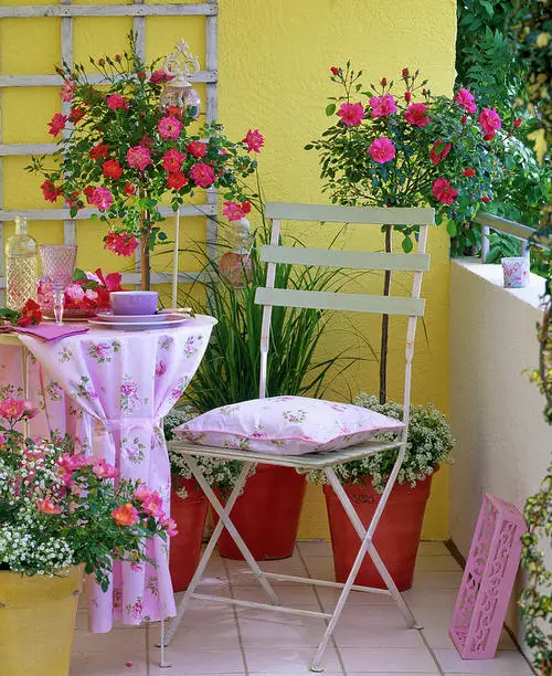 Small Rose Garden 9