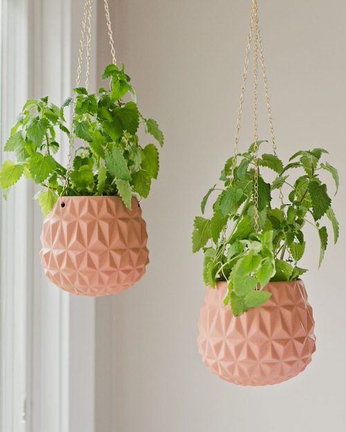 Greatest tea Herbs for a tea Herb Garden