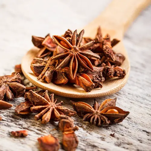 Thai Spices Catalogue 2