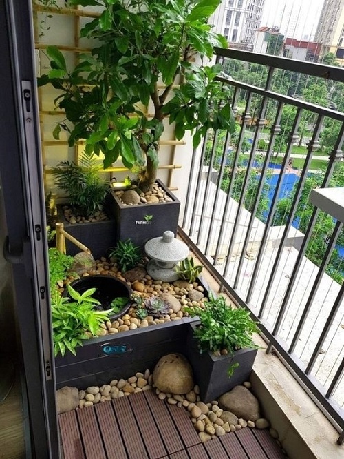  Common Balcony Gardening Problems and Tips to Solve Them 3