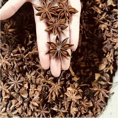 Star Anise Uses