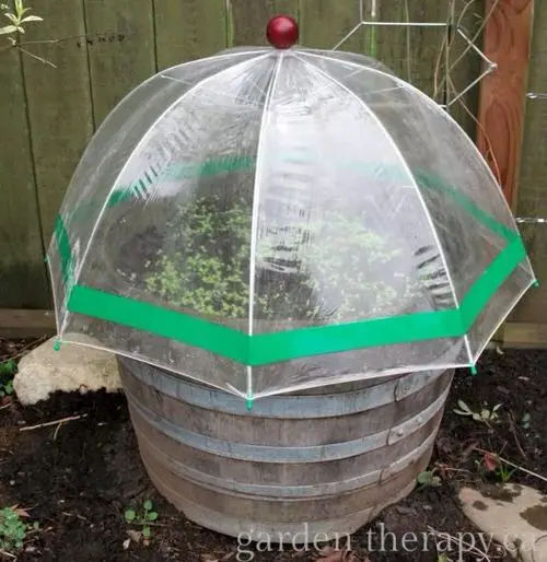 Umbrella Mini Greenhouse