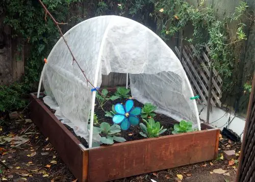Super Cheap Hoop House