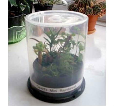 CD Spindle Case Greenhouse