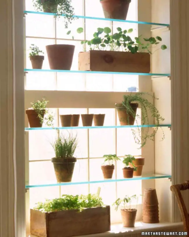 Turn Window into Greenhouse