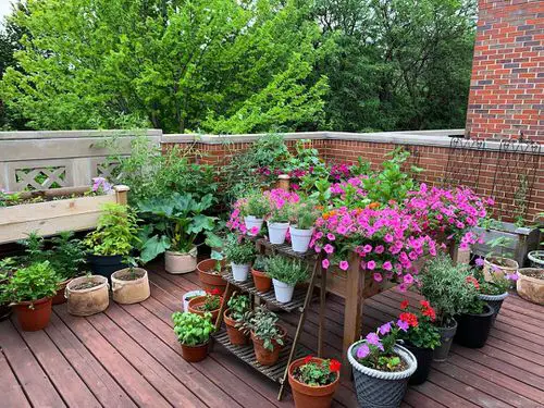 How to Make a Small Garden Look Bigger Add Plenty of Vivid Shades