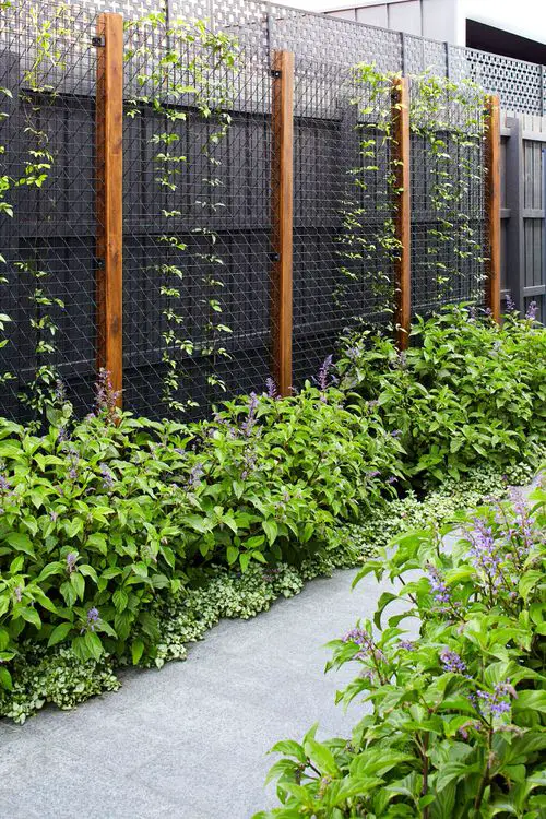 Go for Climbers in small space 