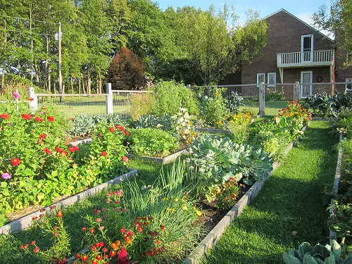 Contemporary Garden Design Ideas Select the Right Plants