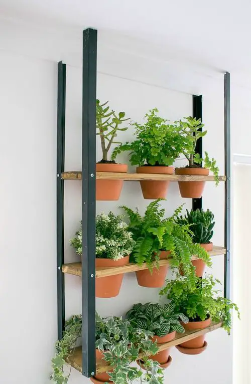 Hang Shelves in balcony 