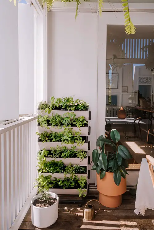 Make a Small Herb Garden