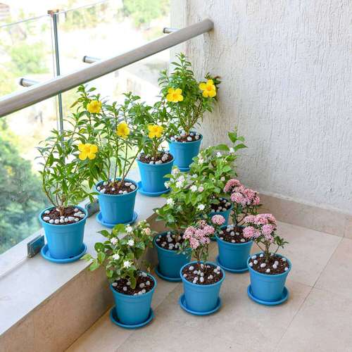 Use Decorative Pots Apartment Balcony Garden Decorating Ideas 