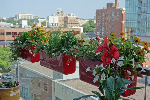 Use Railing Planters