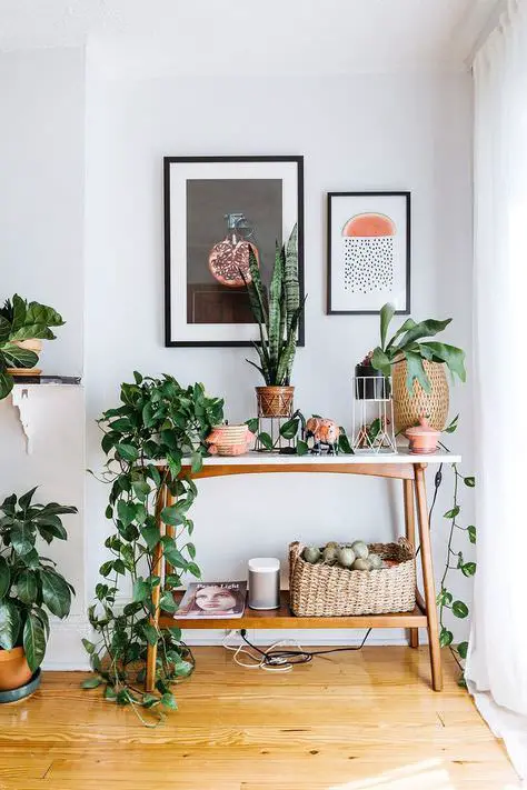 Trailing Potted Plants on the Desk