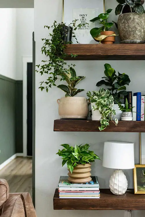 Cascading Beauties on the Bookshelf