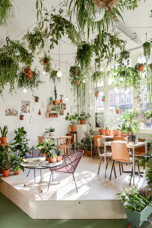 Amazing Cover the Ceiling and Floor With Plants