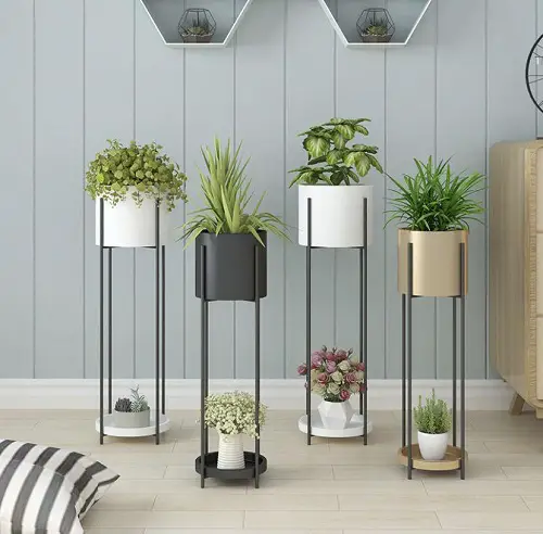 beautiful Cover the Ceiling and Floor With Plants