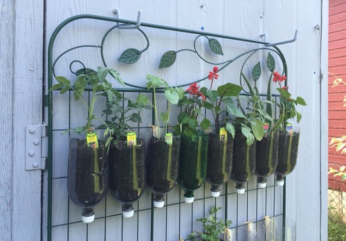  Plastic Bottle Vertical Garden Ideas 19