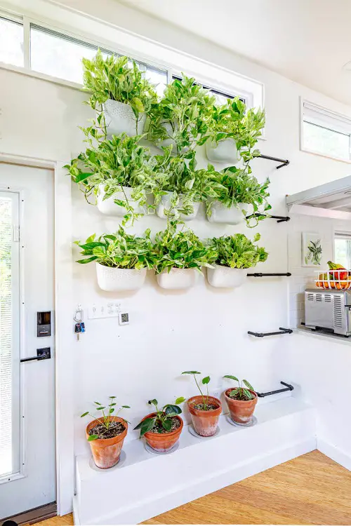 Living Wall with Hanging Planters