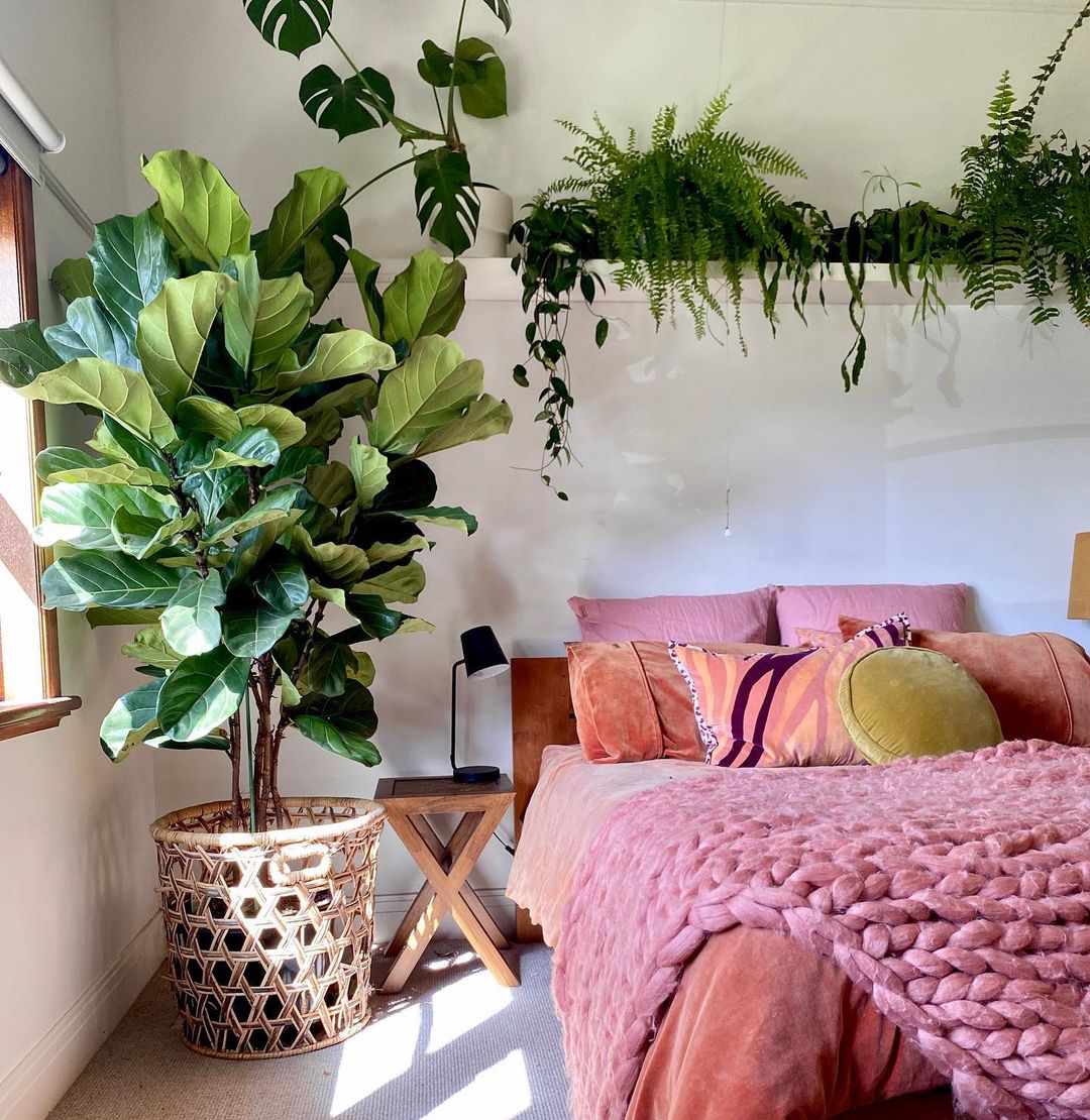 Ferns and Trees