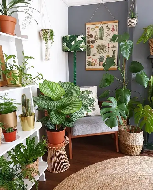 Cover the Ceiling and Floor With Plants