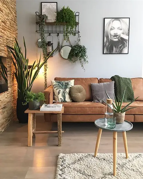 Indoor Plants Decoration