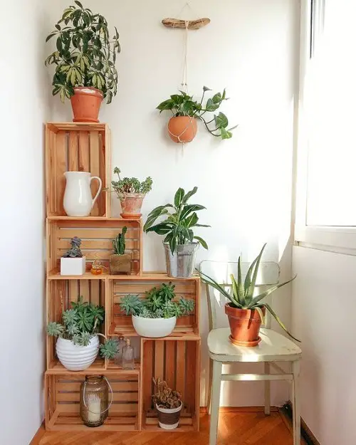 Plants Arranged in Order