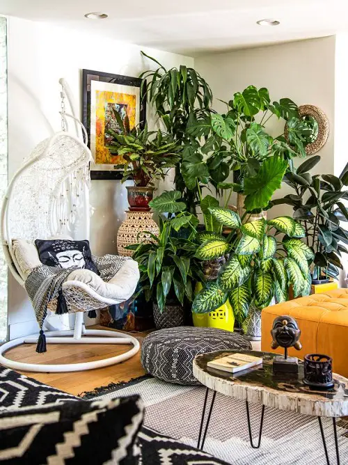 top best Great Ideas to Display Houseplants