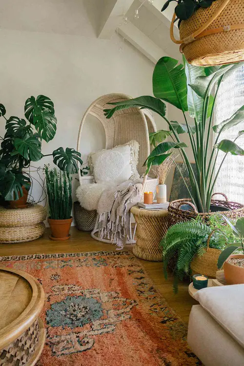 Amazing Great Ideas to Display Houseplants