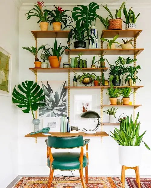 Awasome Great Ideas to Display Houseplants