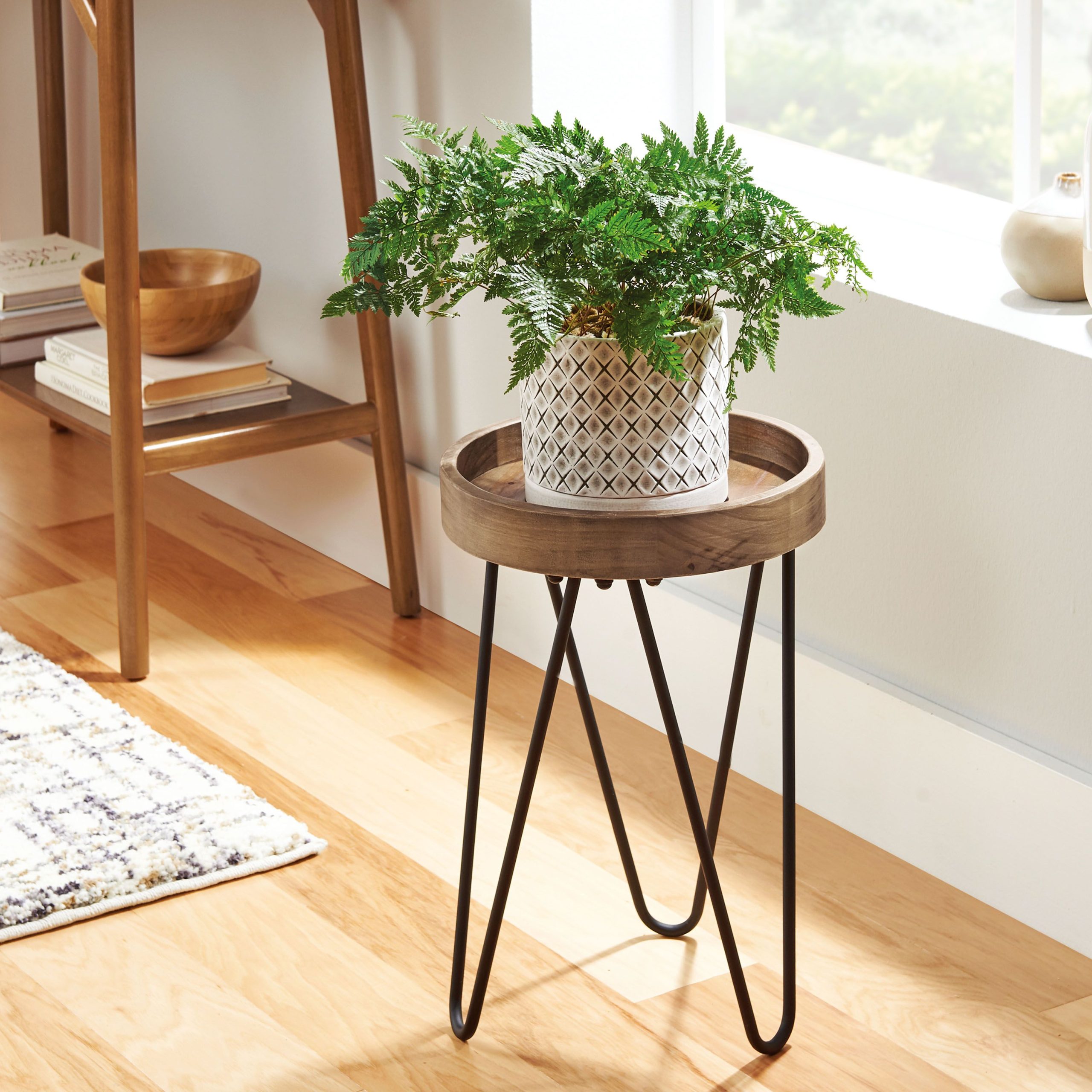 A Simple Display of Fern
