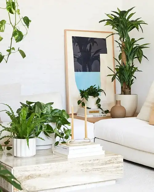 Great Ideas to Display Houseplants