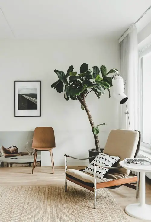 Fantastic Ideas for Indoor Plant Displays