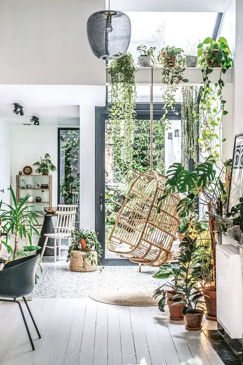 Fantastic Ideas for Indoor Plant Displays