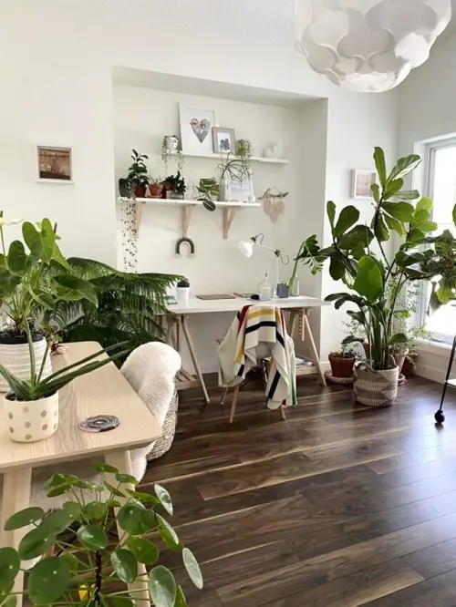 best Fantastic Ideas for Indoor Plant Displays