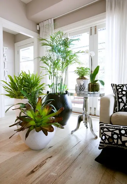 lovely Fantastic Ideas for Indoor Plant Displays