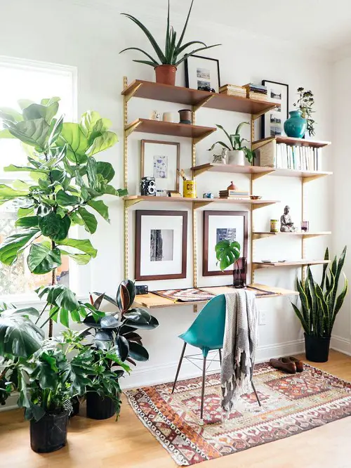 top Fantastic Ideas for Indoor Plant Displays
