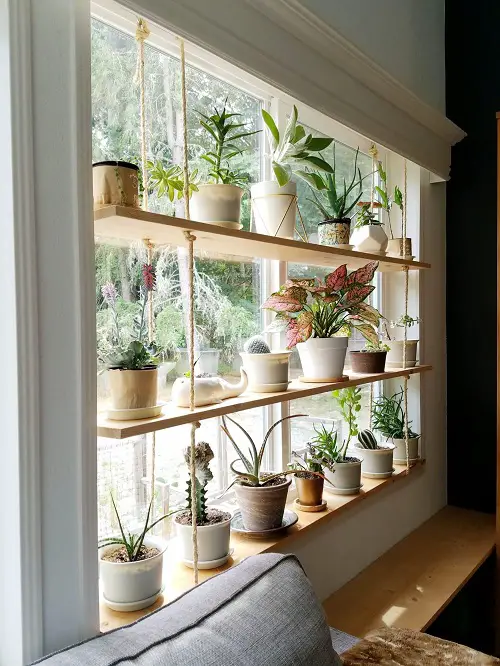 Amazing Fantastic Ideas for Indoor Plant Displays