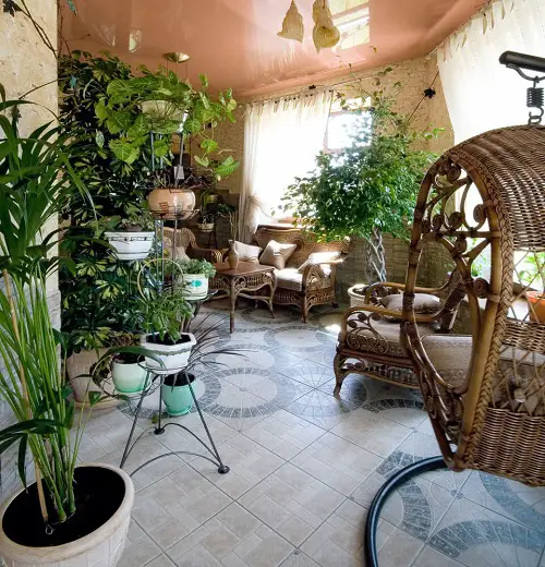 An Indoor Jungle!