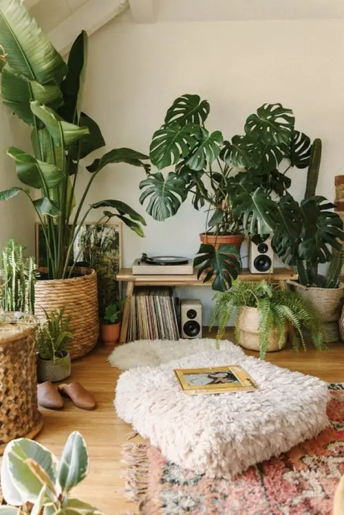 99 Great Ideas to Display Houseplants | Indoor Plants Decoration 26