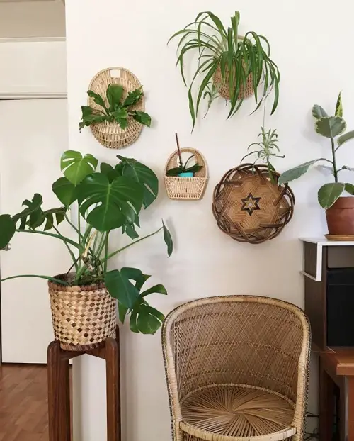 Creative Ways to Showcase Indoor Plants