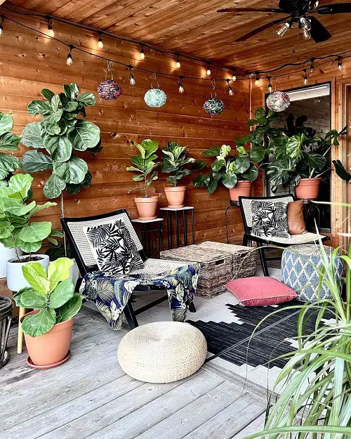 A Room Full of Big Foliage Plants